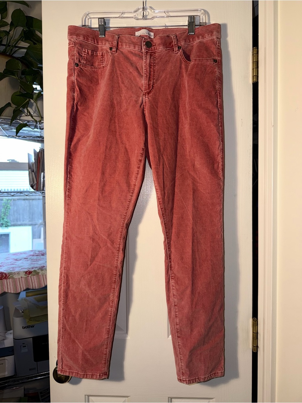 LOFT Velvet Pants Womens Straight Leg Dusty Rose 5 Pocket Fall. Size 12